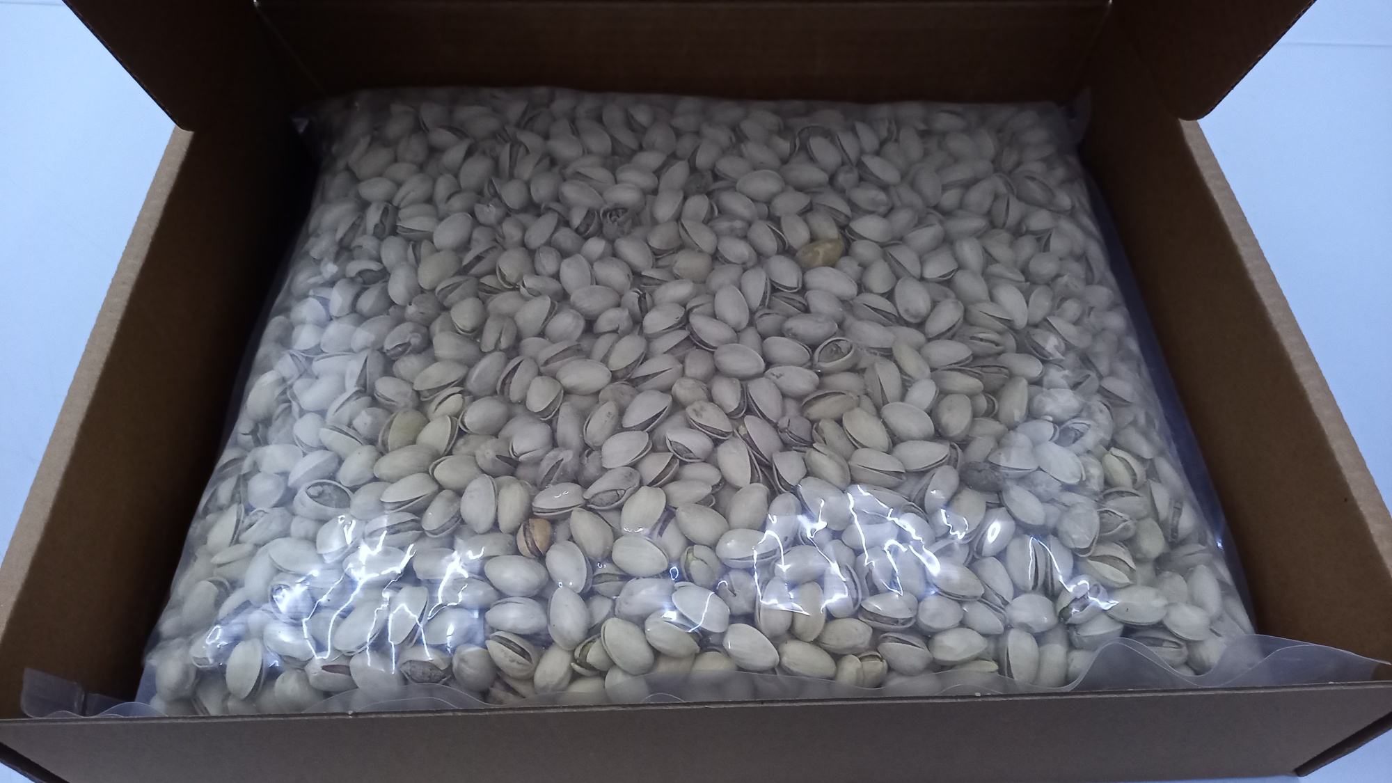 20231213 113527 Resized